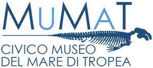 Mumat - Civico Museo del Mare di Tropea